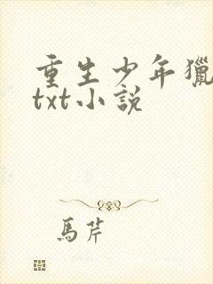 重生少年猎美记txt小说