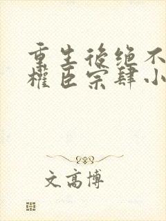 重生后绝不嫁给权臣宗肆小说