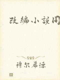 改编小说同人版