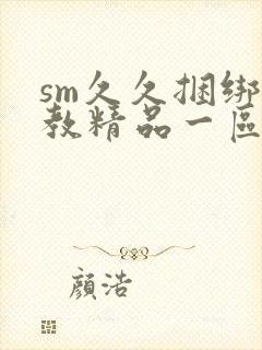 sm久久捆绑调教精品一区