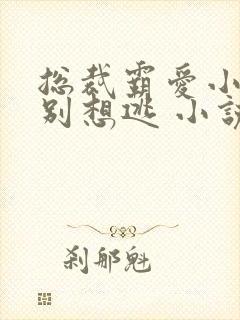 总裁霸爱小娇妻别想逃 小说免费阅读封面