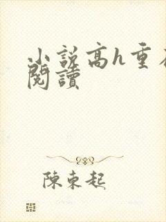 小说高h重在线阅读