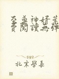 至尊神婿叶昊免费阅读无弹窗