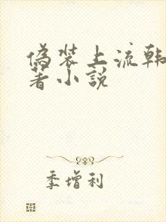 伪装上流韩漫原著小说封面