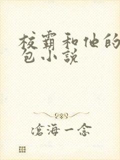 校霸和他的小哭包小说封面