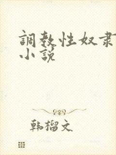 调教性奴隶老婆小说封面