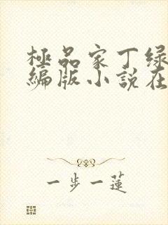 极品家丁绿帽改编版小说在哪里看封面