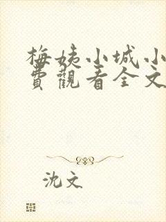 梅姨小城小说免费观看全文