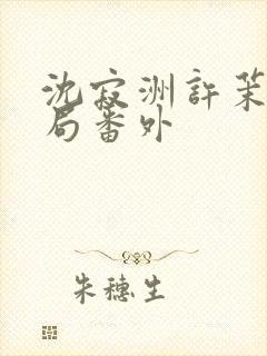 沈寂洲许茉大结局番外