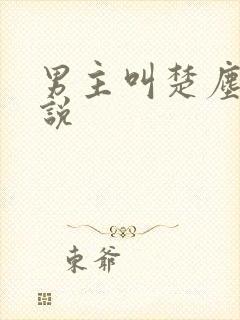 男主叫楚尘的小说