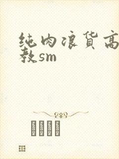 纯肉浪货高h调教sm
