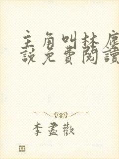 主角叫林尘的小说免费阅读封面