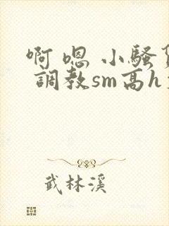 啊 嗯 小骚货 调教sm高h文