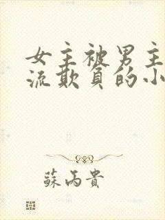 女主被男主们轮流欺负的小说