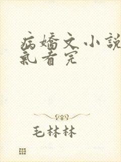 病娇文小说一口气看完封面