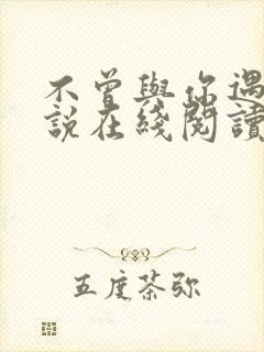 不曾与你遇见小说在线阅读