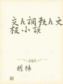 交h调教h文学校小说封面