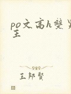po文高h双男主