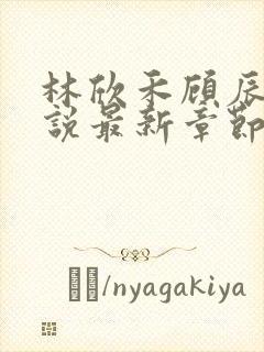 林欣禾顾辰昀小说最新章节免费阅读