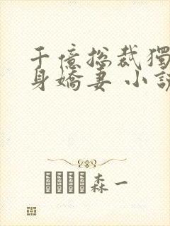 千亿总裁独宠替身娇妻 小说完整板