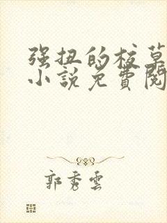 强扭的校草不甜小说免费阅读