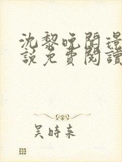 沈黎晚闻璟川小说免费阅读最新章节