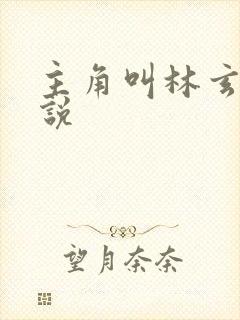 主角叫林玄的小说