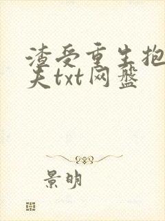 渣受重生抱紧前夫txt网盘