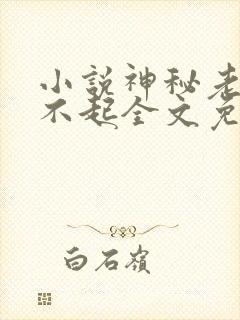 小说神秘老公惹不起全文免费阅读