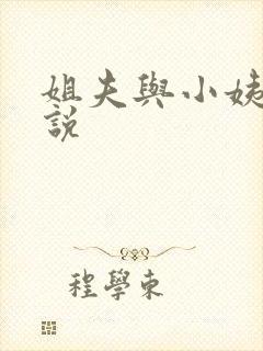姐夫与小姨的小说