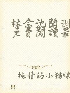 林念沈闻洲全文免费阅读最新章节