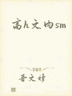 高h文肉sm