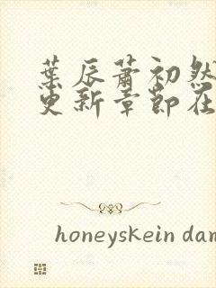 叶辰萧初然最新更新章节在线阅读