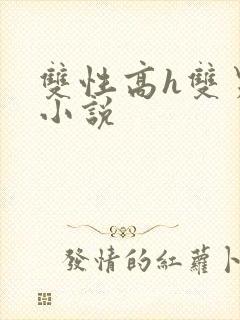 双性高h双男主小说