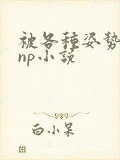 被各种姿势玩弄np小说