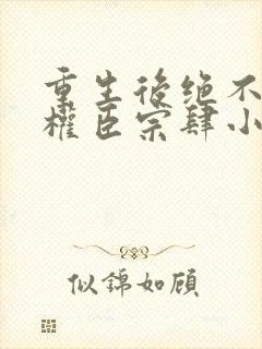 重生后绝不嫁给权臣宗肆小说