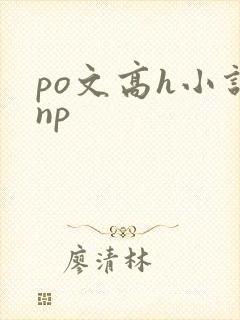 po文高h小说np