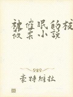 被催眠的校花高莜柔小说