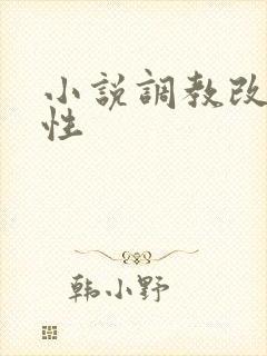 小说调教改造双性