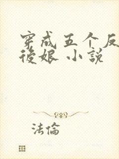 穿成五个反派的后娘 小说