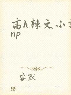 高h辣文小说 np封面