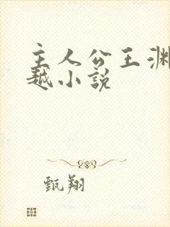 主人公王渊的穿越小说