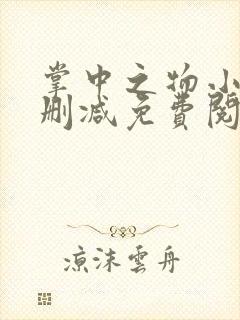 掌中之物小说无删减免费阅读全文