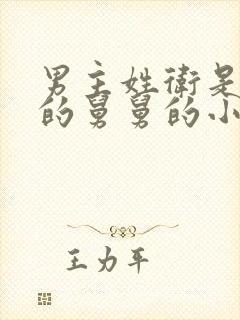 男主姓卫是明兰的舅舅的小说