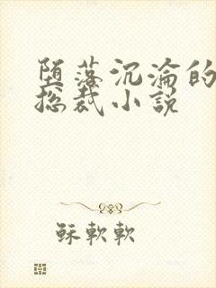 堕落沉沦的冷艳总裁小说