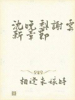 沈晚梨谢云迟最新章节封面