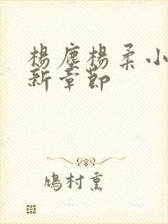 杨尘杨柔小说最新章节