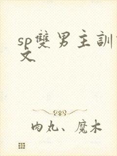 sp双男主训诫文