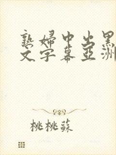 熟妇中出黑人中文字幕亚洲