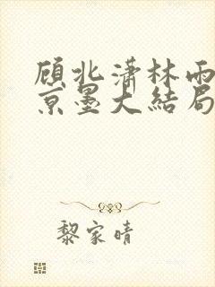 顾北潇林雨菲谢京墨大结局封面